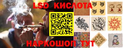 шишки Бузулук