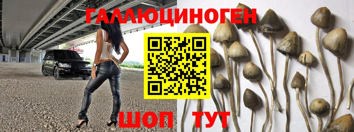 Галлюциногенные грибы ЛСД Прокопьевск