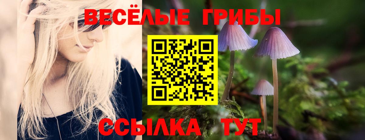 купить наркотик  Вход с VPN  Прокопьевск  Галлюциногенные грибы Cubensis 