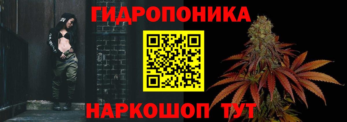 Шишки марихуана ГИДРОПОН Прокопьевск