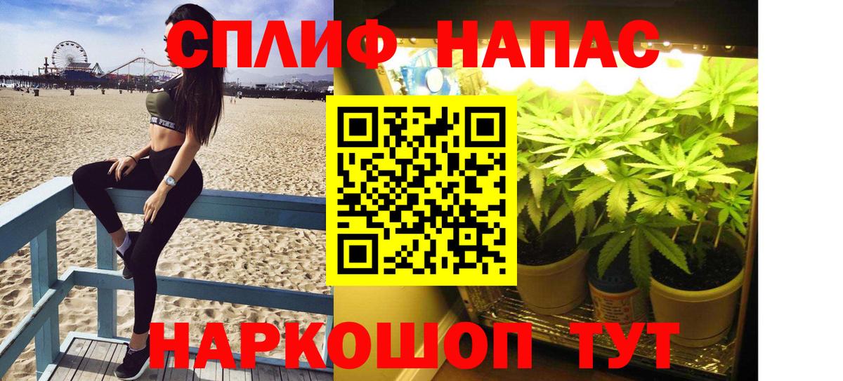 Шишки марихуана сатива  Марихуана гибрид  Вход с VPN  МАРИХУАНА OG Kush  Шишки марихуана MAZAR  Прокопьевск 